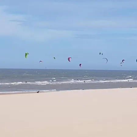Cormoran De Haan