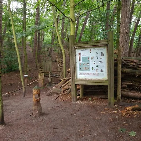 Cormoran Apartamento *