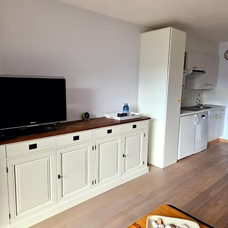 Apartament Cormoran De Haan