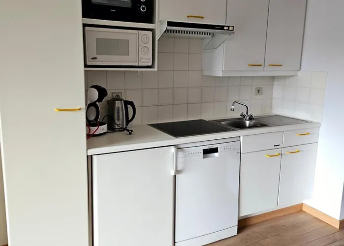 Cormoran Appartement Le Coq